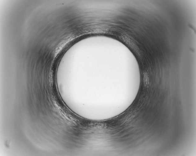 X0000101420676200807280938
