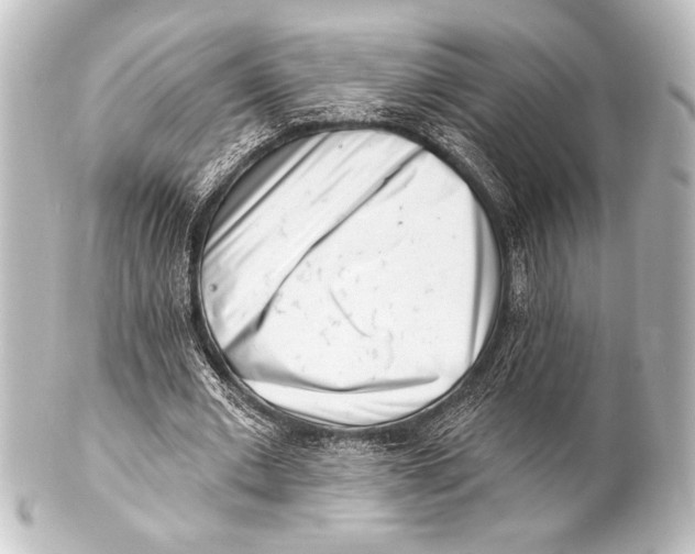 X0000101420677200807280938