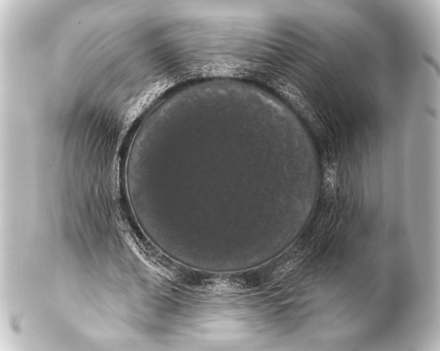 X0000101420678200807280938