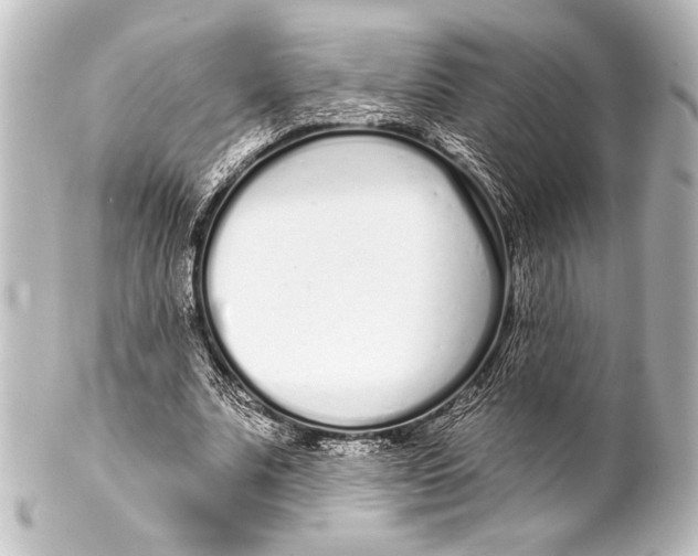 X0000101420679200807280938