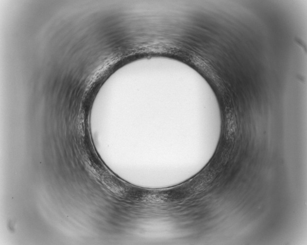 X0000101420680200807280938