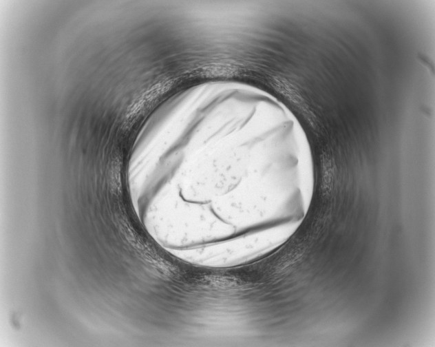 X0000101420681200807280938