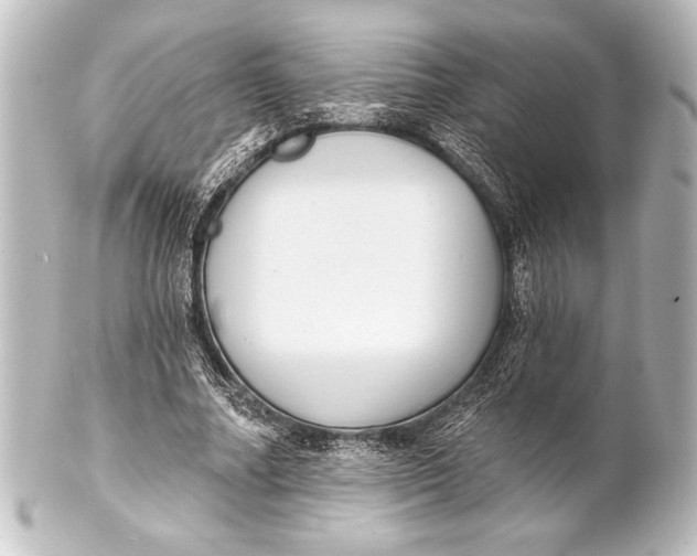 X0000101420682200807280938