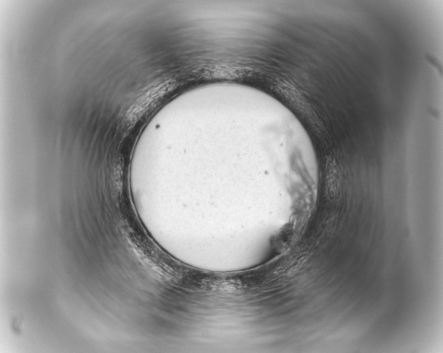X0000101420683200807280938