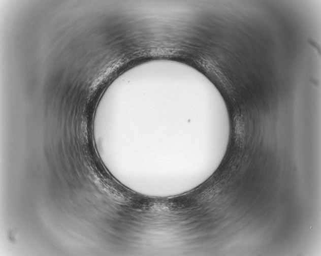 X0000101420684200807280938