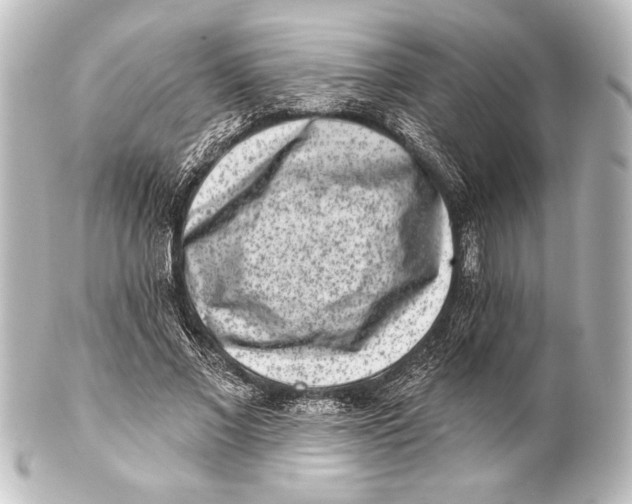 X0000101420685200807280938