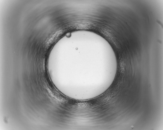 X0000101420686200807280938