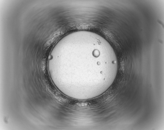 X0000101420687200807280938