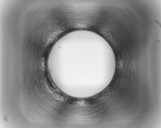 X0000101420688200807280938