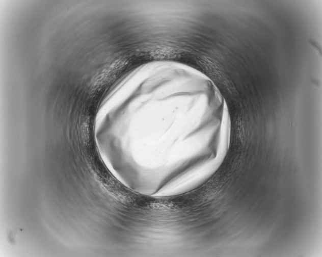 X0000101420690200807280938