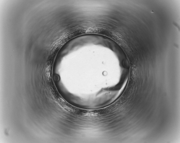 X0000101420691200807280938