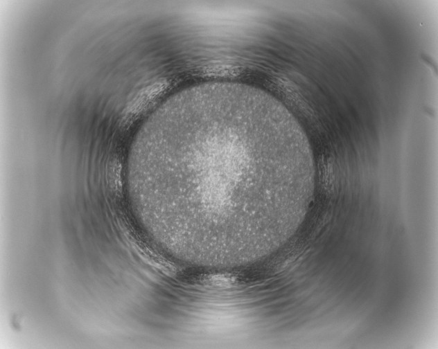 X0000101420692200807280938
