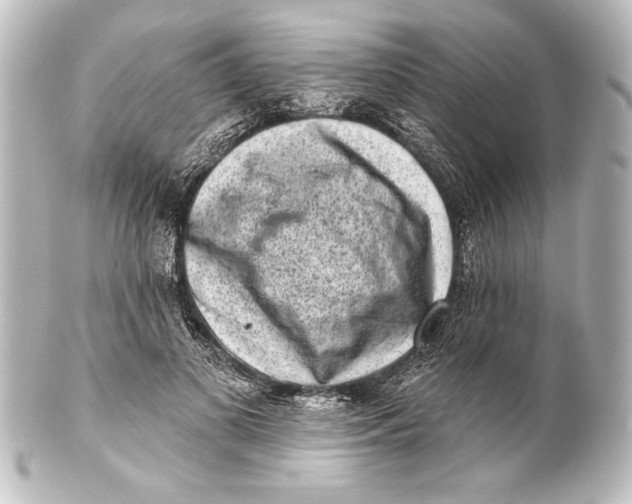 X0000101420693200807280938