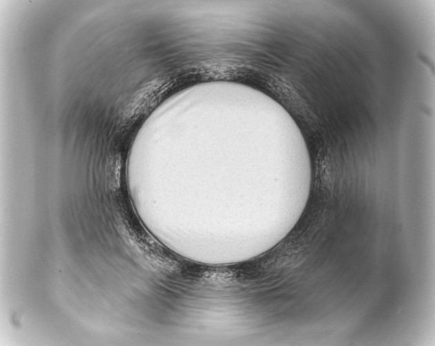 X0000101420694200807280938