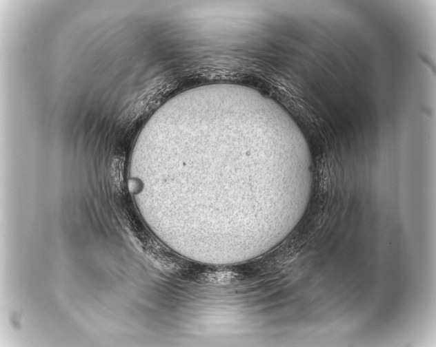X0000101420695200807280938