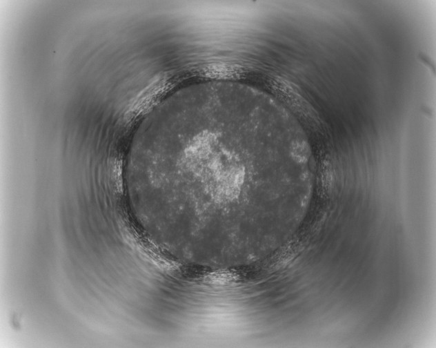 X0000101420696200807280938