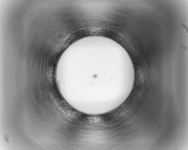 X0000101420698200807280938