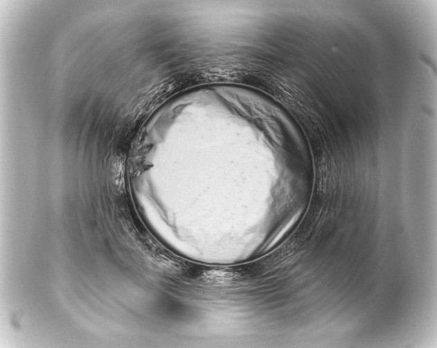 X0000101420699200807280938