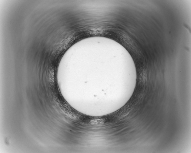 X0000101420700200807280938