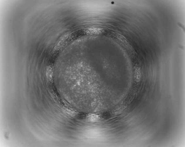 X0000101420701200807280938