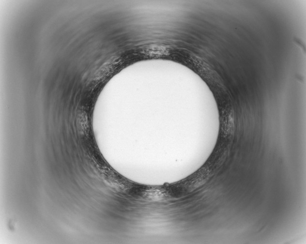 X0000101420704200807280938