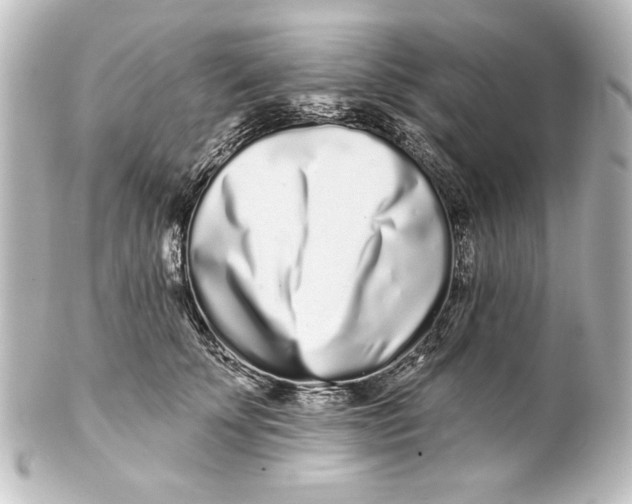 X0000101420707200807280938