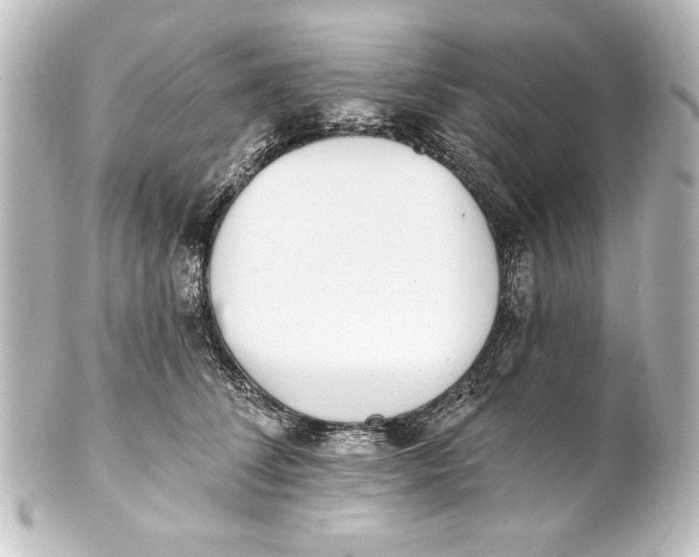 X0000101420708200807280938