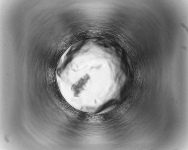 X0000101420711200807280938