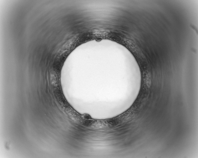 X0000101420712200807280938