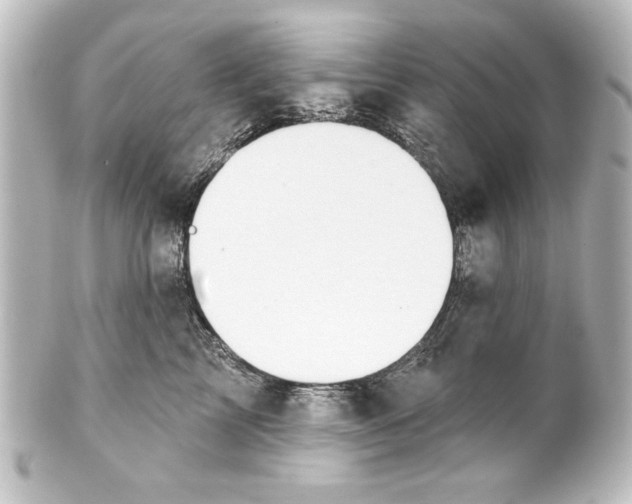 X0000101420713200807280938