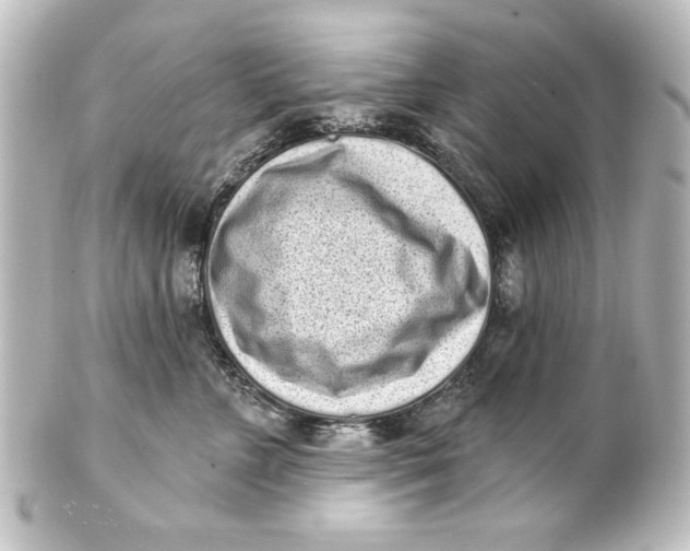 X0000101420715200807280938