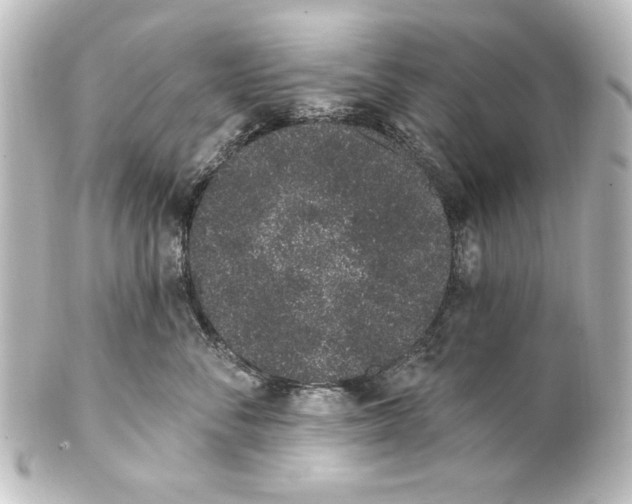 X0000101420716200807280938