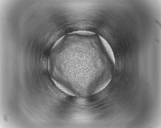 X0000101420718200807280938