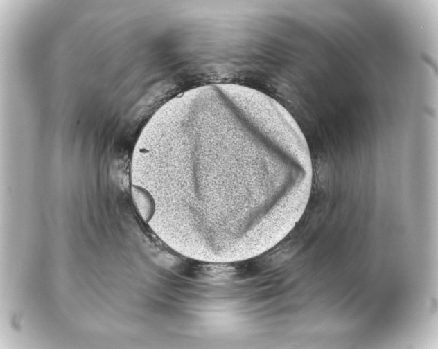 X0000101420719200807280938