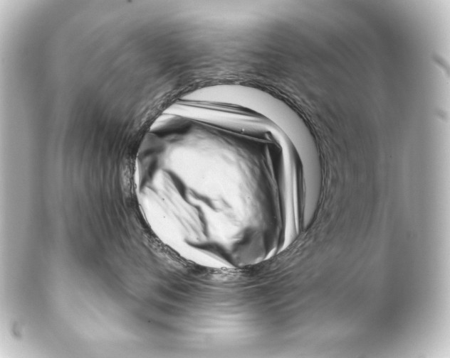 X0000101420720200807280938