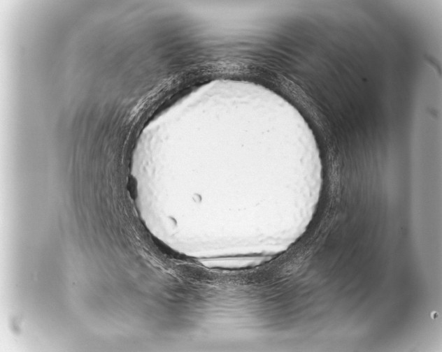 X0000101420721200807280937