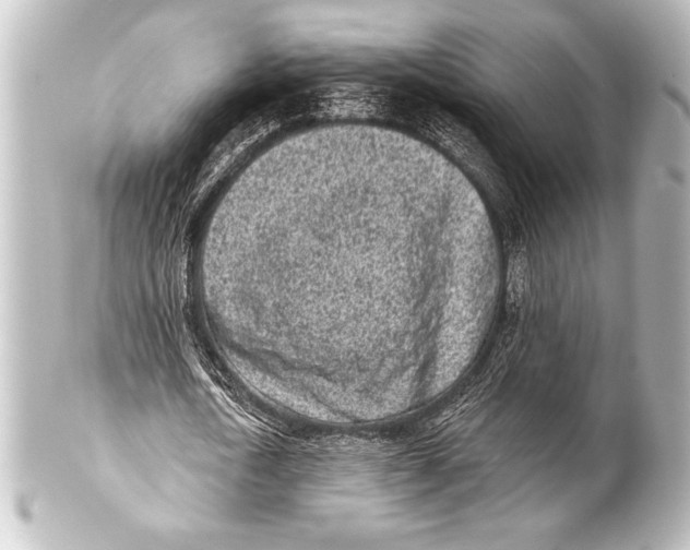 X0000101420722200807280937