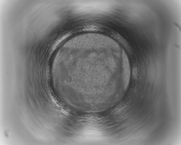 X0000101420724200807280937