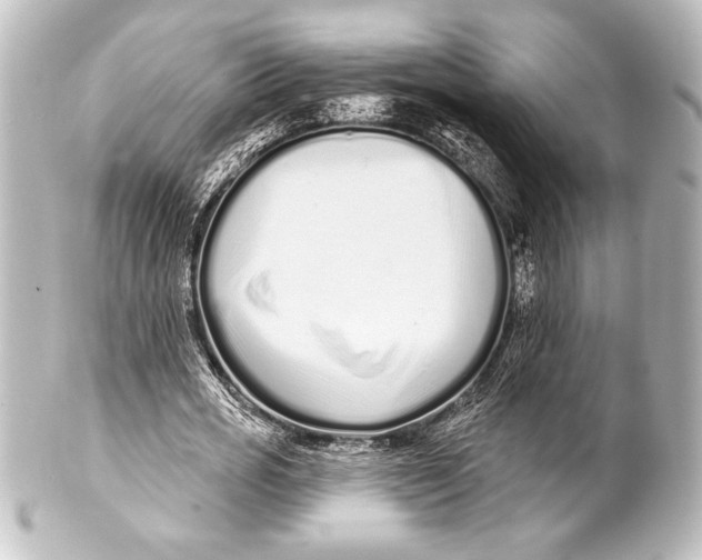 X0000101420725200807280937