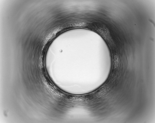 X0000101420726200807280937