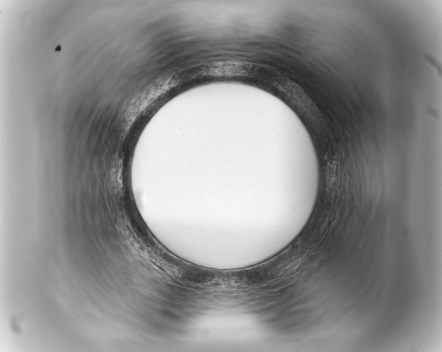 X0000101420727200807280937