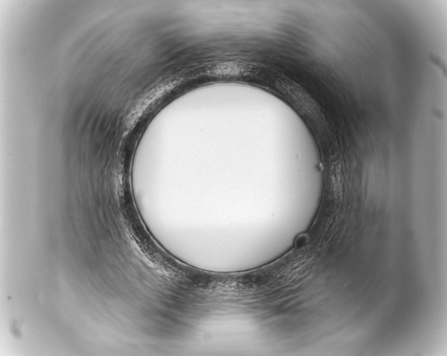 X0000101420728200807280937