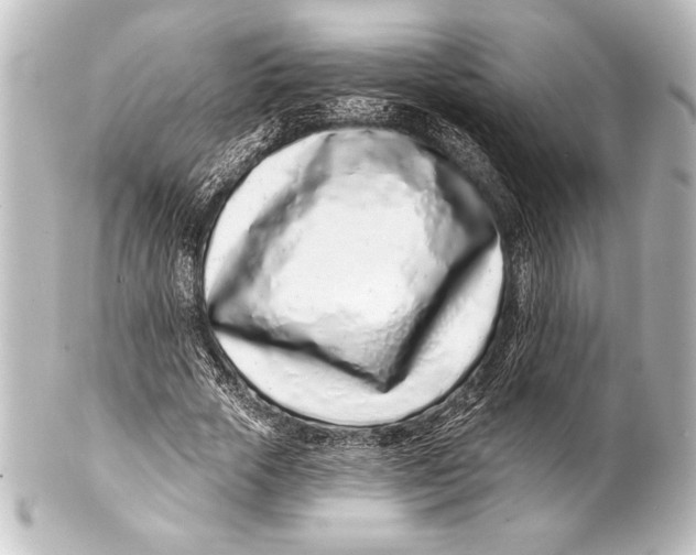 X0000101420729200807280937