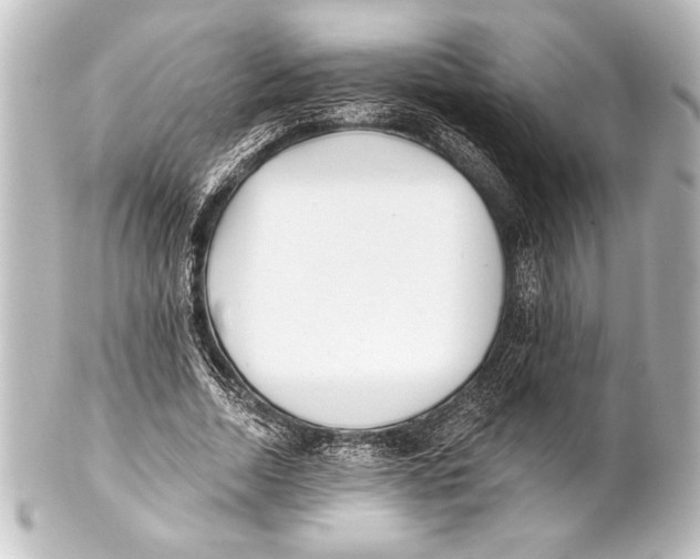 X0000101420730200807280937