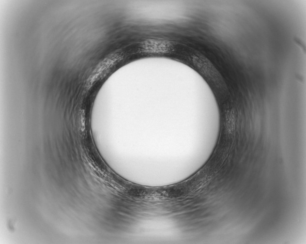 X0000101420731200807280937