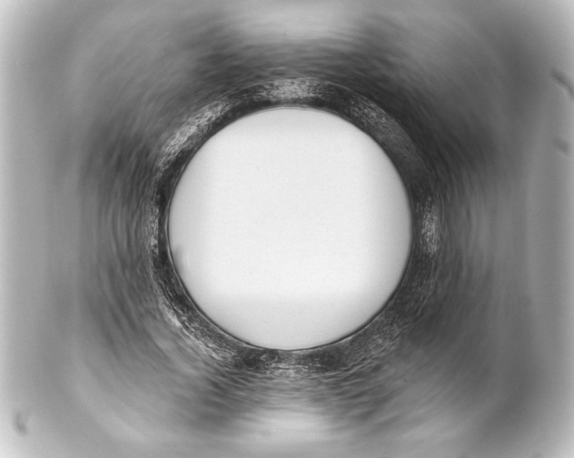 X0000101420732200807280937