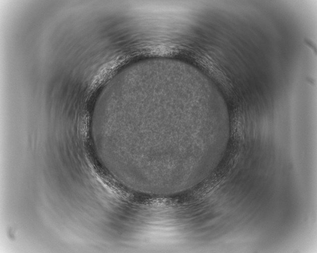 X0000101420736200807280937