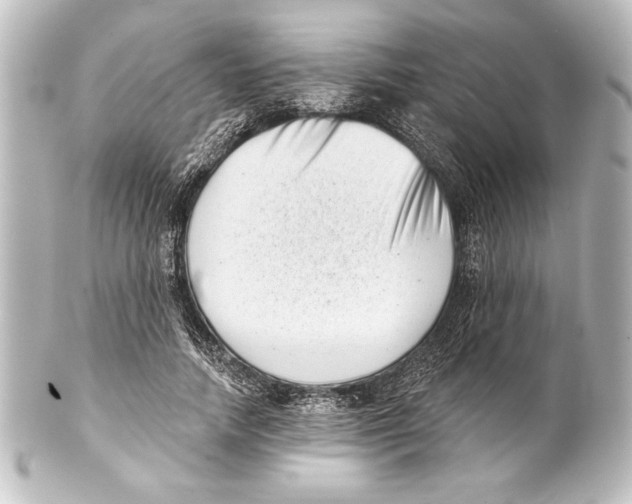 X0000101420738200807280937