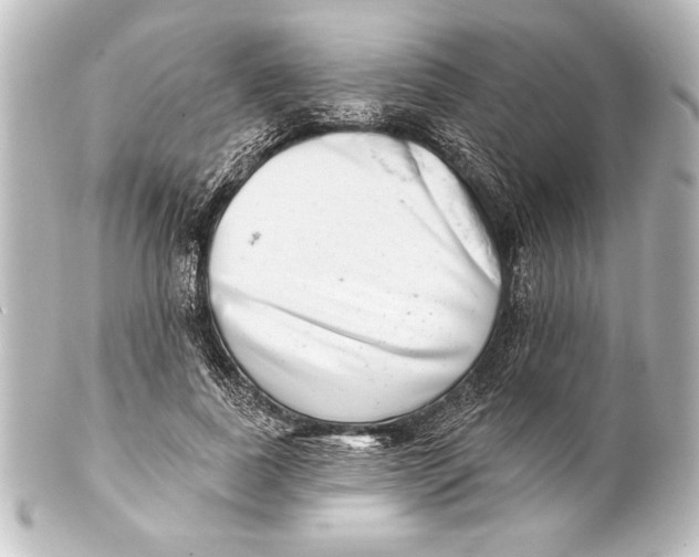 X0000101420739200807280937