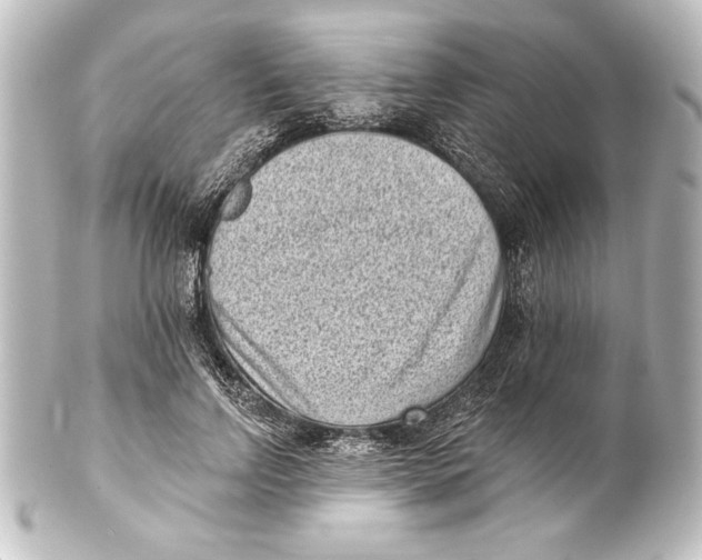 X0000101420742200807280937